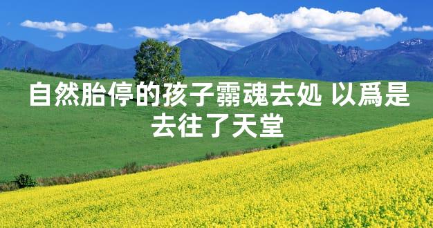 自然胎停的孩子霛魂去処 以爲是去往了天堂